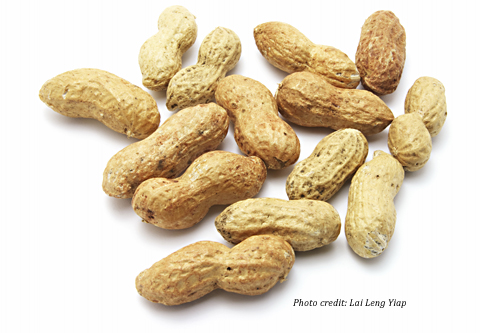 peanuts