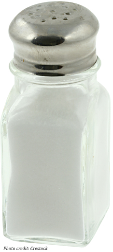salt-shaker salt-shaker